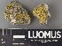  ( - H9238077)  @11 [ ] by-nc (2023) Erkka Laine Luomus