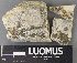  ( - H9238116)  @11 [ ] by-nc (2023) Erkka Laine Luomus