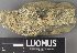  ( - H9238118)  @11 [ ] by-nc (2023) Erkka Laine Luomus