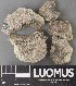  ( - H9238125)  @11 [ ] by-nc (2023) Erkka Laine Luomus
