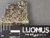  ( - H9238129)  @11 [ ] by-nc (2023) Erkka Laine Luomus