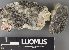  ( - H9238138)  @11 [ ] by-nc (2023) Erkka Laine Luomus