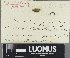 ( - H9505845)  @11 [ ] by-nc (2023) Erkka Laine Luomus