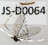  ( - JS-D0064)  @11 [ ] by-nc (2021) Juha Salokannel Unspecified