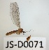  ( - JS-D0071)  @11 [ ] by-nc (2021) Juha Salokannel Unspecified