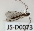  ( - JS-D0073)  @11 [ ] by-nc (2021) Juha Salokannel Unspecified