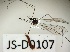  (Trichocera brevis - JS-D0107)  @11 [ ] by-nc (2021) Juha Salokannel Unspecified