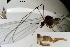  ( - JS-D0112)  @11 [ ] by-nc (2021) Juha Salokannel Unspecified