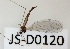  ( - JS-D0120)  @11 [ ] by-nc (2021) Juha Salokannel Unspecified