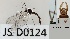  (Trichocera nordica - JS-D0124)  @11 [ ] by-nc (2021) Juha Salokannel Unspecified