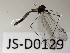  ( - JS-D0129)  @11 [ ] by-nc (2021) Juha Salokannel Unspecified