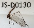  ( - JS-D0130)  @11 [ ] by-nc (2021) Juha Salokannel Unspecified
