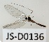  ( - JS-D0136)  @11 [ ] by-nc (2021) Juha Salokannel Unspecified