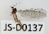  ( - JS-D0137)  @11 [ ] by-nc (2021) Juha Salokannel Unspecified