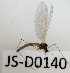  ( - JS-D0140)  @11 [ ] by-nc (2021) Juha Salokannel Unspecified