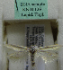  (Scythris sp. KN1139 - KN01139)  @11 [ ] by-nc (2021) Kari Nupponen Unspecified