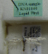  (Scythris sp. KN1140 - KN01140)  @11 [ ] by-nc (2021) Kari Nupponen Unspecified