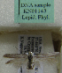  (Scythris sp. KN1143 - KN01143)  @11 [ ] by-nc (2021) Kari Nupponen Unspecified