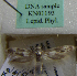  (Scythris albiflua - KN01193)  @11 [ ] by-nc (2021) Kari Nupponen Unspecified