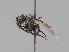  ( - KWi-1928)  @11 [ ] by-nc (2018) Marko Mutanen University of Oulu