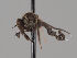  ( - KWi-1946)  @11 [ ] by-nc (2018) Marko Mutanen University of Oulu