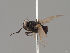  ( - KWi-1957)  @11 [ ] by-nc (2018) Marko Mutanen University of Oulu