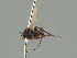  ( - KWi-2041)  @11 [ ] by-nc (2021) Ella Sippola University of Oulu
