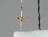  (Liriomyza lutea - KWi-2098)  @11 [ ] by-nc (2021) Ella Sippola University of Oulu
