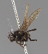  ( - KWi-2177)  @11 [ ] by-nc (2024) Erkka Laine University of Oulu