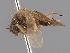  ( - KWi-2181)  @11 [ ] by-nc (2024) Erkka Laine University of Oulu