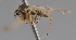 ( - KWi-2198)  @11 [ ] by-nc (2024) Erkka Laine University of Oulu