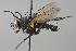  ( - KWi-2232)  @11 [ ] by-nc (2024) Erkka Laine University of Oulu