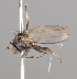  ( - KWi-2248)  @11 [ ] by-nc (2024) Erkka Laine University of Oulu