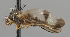  ( - KWi-2297)  @11 [ ] by-nc (2024) Erkka Laine University of Oulu