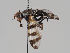 ( - KWi-1020)  @11 [ ] CreativeCommons - Attribution Non-Commercial (2018) Marko Mutanen University of Oulu