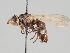  ( - KWi-1022)  @11 [ ] CreativeCommons - Attribution Non-Commercial (2018) Marko Mutanen University of Oulu