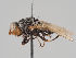  ( - KWi-1023)  @11 [ ] CreativeCommons - Attribution Non-Commercial (2018) Marko Mutanen University of Oulu