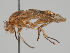 ( - KWi-1097)  @11 [ ] CreativeCommons - Attribution Non-Commercial (2018) Marko Mutanen University of Oulu