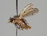  ( - KWi-1105)  @11 [ ] CreativeCommons - Attribution Non-Commercial (2018) Marko Mutanen University of Oulu