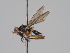  ( - KWi-1121)  @11 [ ] CreativeCommons - Attribution Non-Commercial (2018) Marko Mutanen University of Oulu