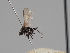  ( - KWi-1147)  @11 [ ] CreativeCommons - Attribution Non-Commercial (2018) Marko Mutanen University of Oulu
