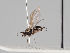  ( - KWi-1148)  @11 [ ] CreativeCommons - Attribution Non-Commercial (2018) Marko Mutanen University of Oulu