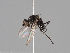  ( - KWi-1150)  @11 [ ] CreativeCommons - Attribution Non-Commercial (2018) Marko Mutanen University of Oulu