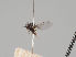  ( - KWi-1181)  @11 [ ] CreativeCommons - Attribution Non-Commercial (2018) Marko Mutanen University of Oulu