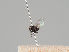  ( - KWi-1192)  @11 [ ] CreativeCommons - Attribution Non-Commercial (2018) Marko Mutanen University of Oulu