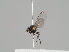  ( - KWi-1218)  @11 [ ] CreativeCommons - Attribution Non-Commercial (2018) Marko Mutanen University of Oulu
