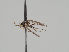  ( - KWi-1220)  @11 [ ] CreativeCommons - Attribution Non-Commercial (2018) Marko Mutanen University of Oulu