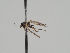  ( - KWi-1220)  @11 [ ] by-nc (2018) Marko Mutanen University of Oulu