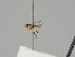  ( - KWi-1225)  @11 [ ] CreativeCommons - Attribution Non-Commercial (2018) Marko Mutanen University of Oulu
