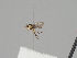  ( - KWi-1225)  @11 [ ] by-nc (2018) Marko Mutanen University of Oulu